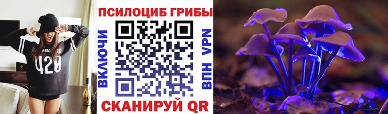 продажа наркотиков  Чулым  даркнет клад  Псилоцибиновые грибы Psilocybine cubensis 